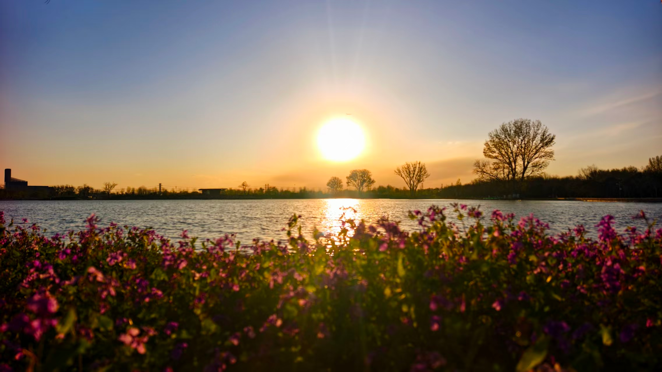 清明限定夕阳,把北京天空染成诗 清明限定夕阳,把北京天空染成诗