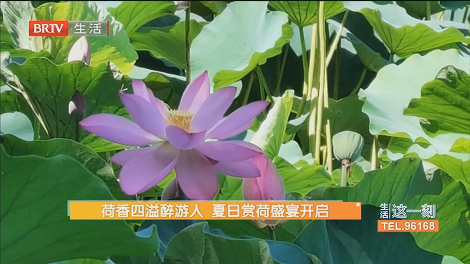 《生活这一刻》20260706 《生活这一刻》20260706