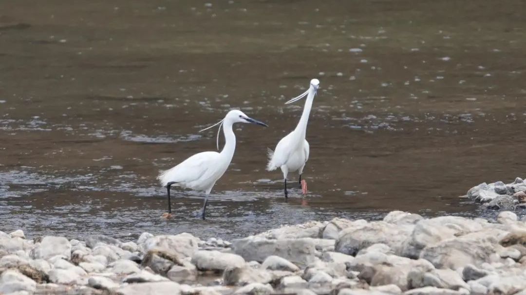 给它们一个温暖的家~~ 给它们一个温暖的家~~