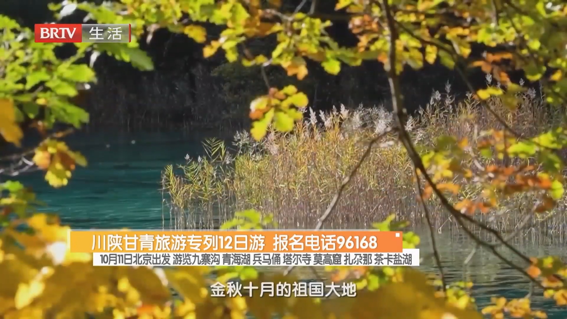 川陕甘青旅游专列12日游 报名电话96168