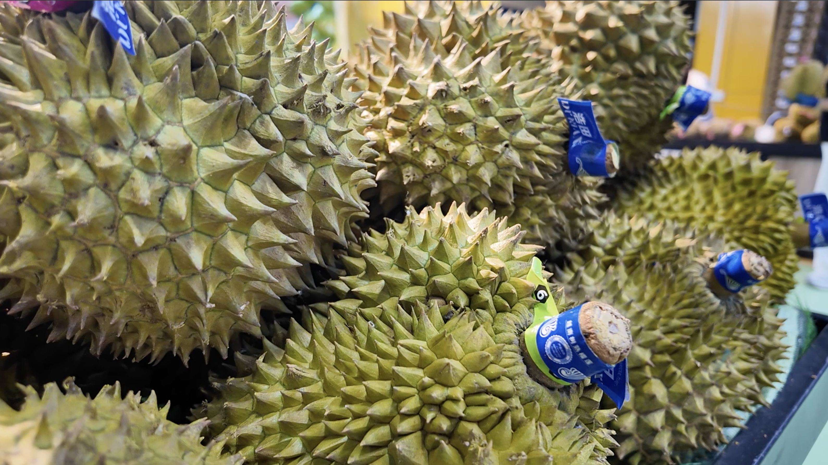 榴莲挑选有绝招 刺是关键 捏得动  有弯钩