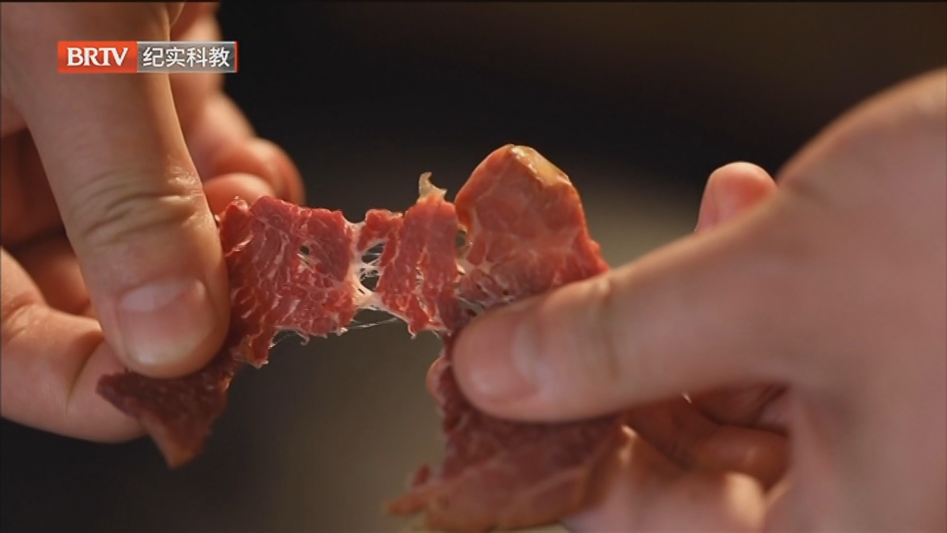 《时间的礼物》20260209