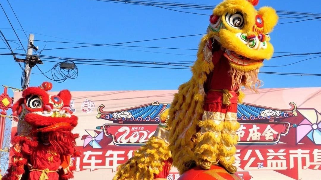 2025年杨镇药王节庙会，烟火气十足！