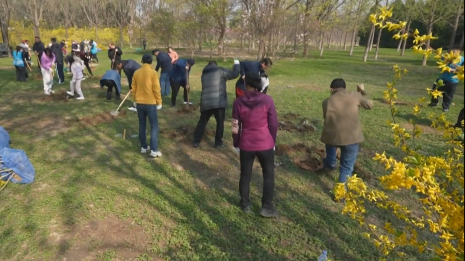 第42个首都全民义务植树日：首都各界植绿护绿 建设花园城市