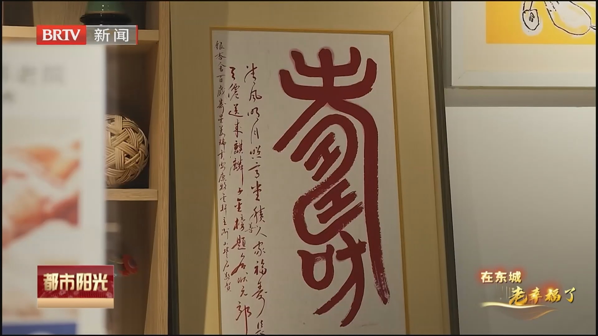 《都市阳光》20260830