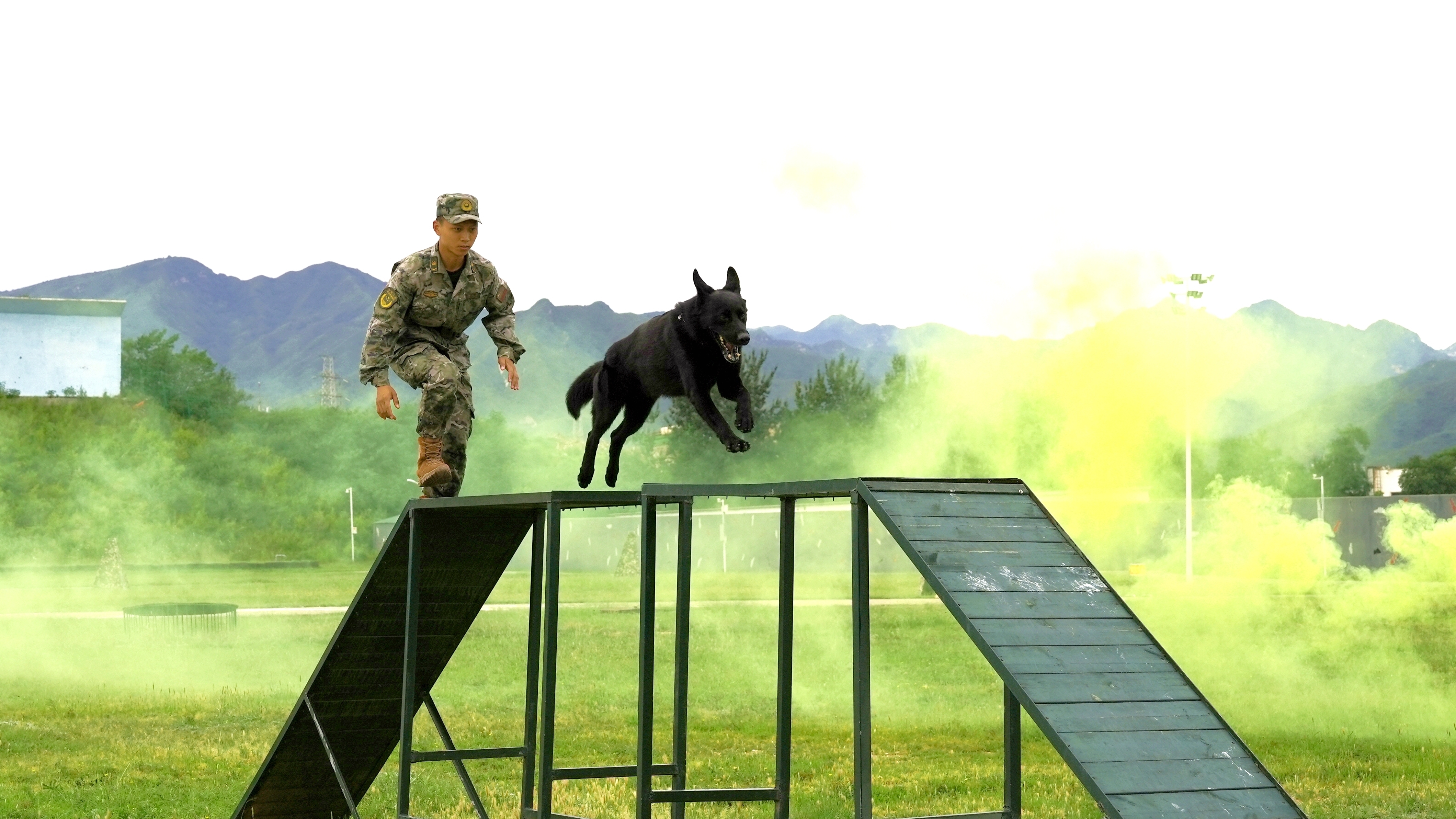 赛场竞骁勇，忠犬卫国都 武警北京总队“忠勇·2026”军犬专业比武纪实