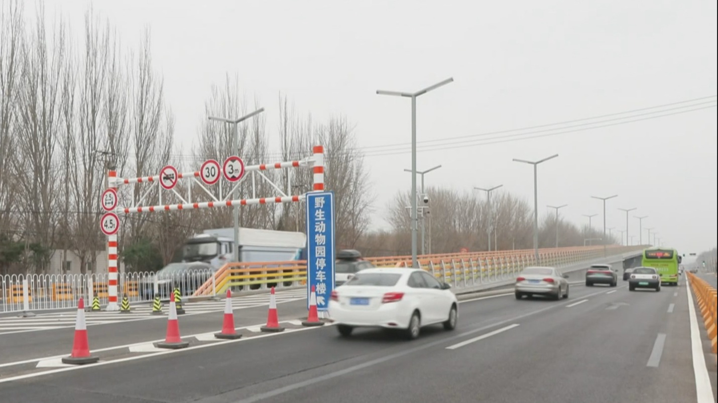 有效缓解园区入口交通拥堵 北京野生动物园新匝道桥试运营 有效缓解园区入口交通拥堵 北京野生动物园新匝道桥试运营