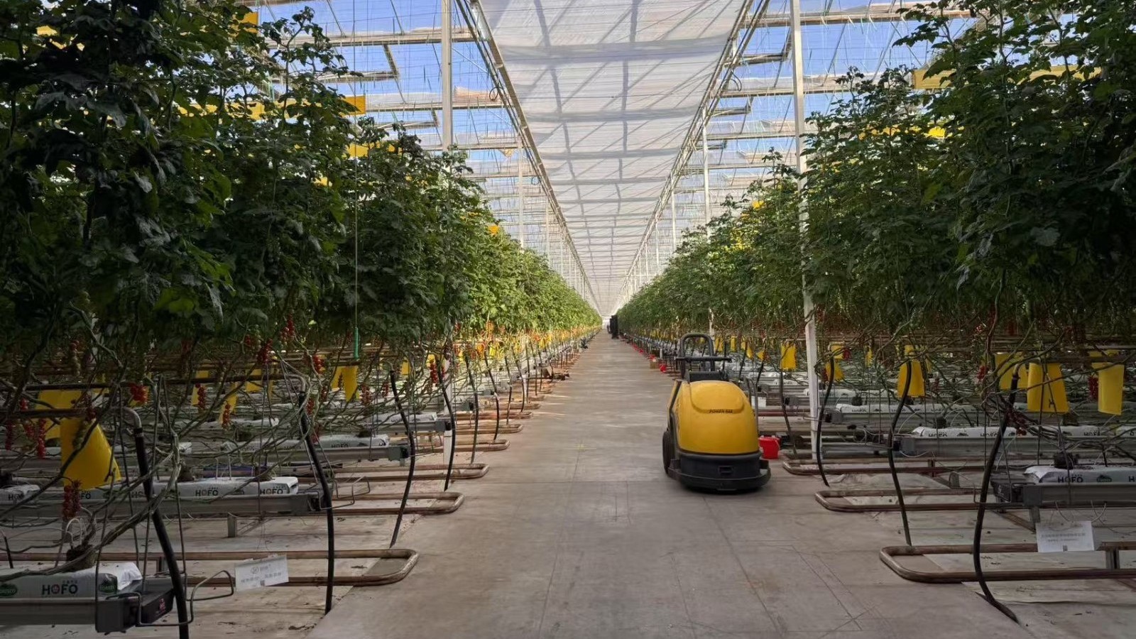 北京农业科技发展按下“加速键” 北京农业科技发展按下“加速键”