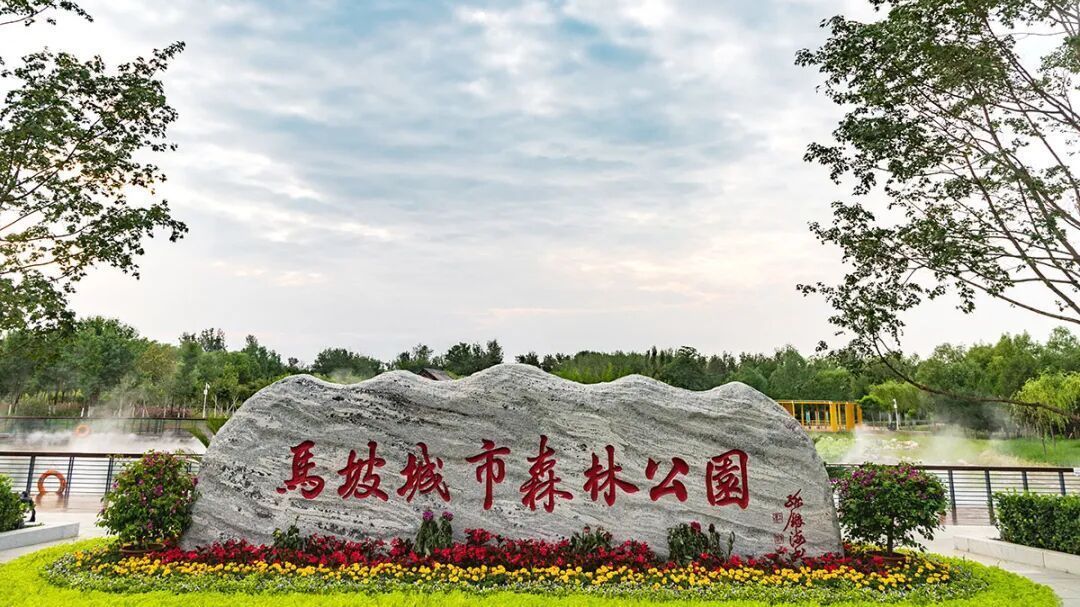 打卡家门口的公园丨藏不住的天然氧吧