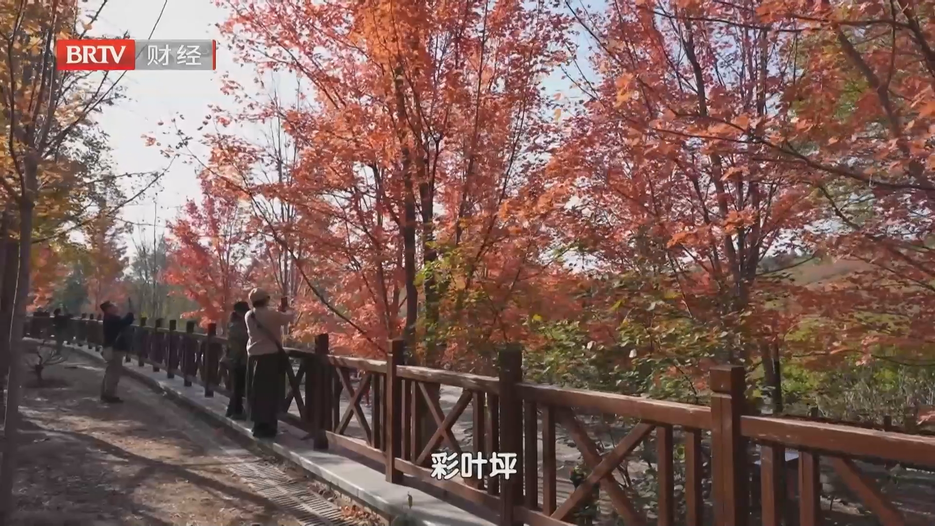 京秋彩叶观赏季启幕 “山海CP”带火秋日文旅消费
