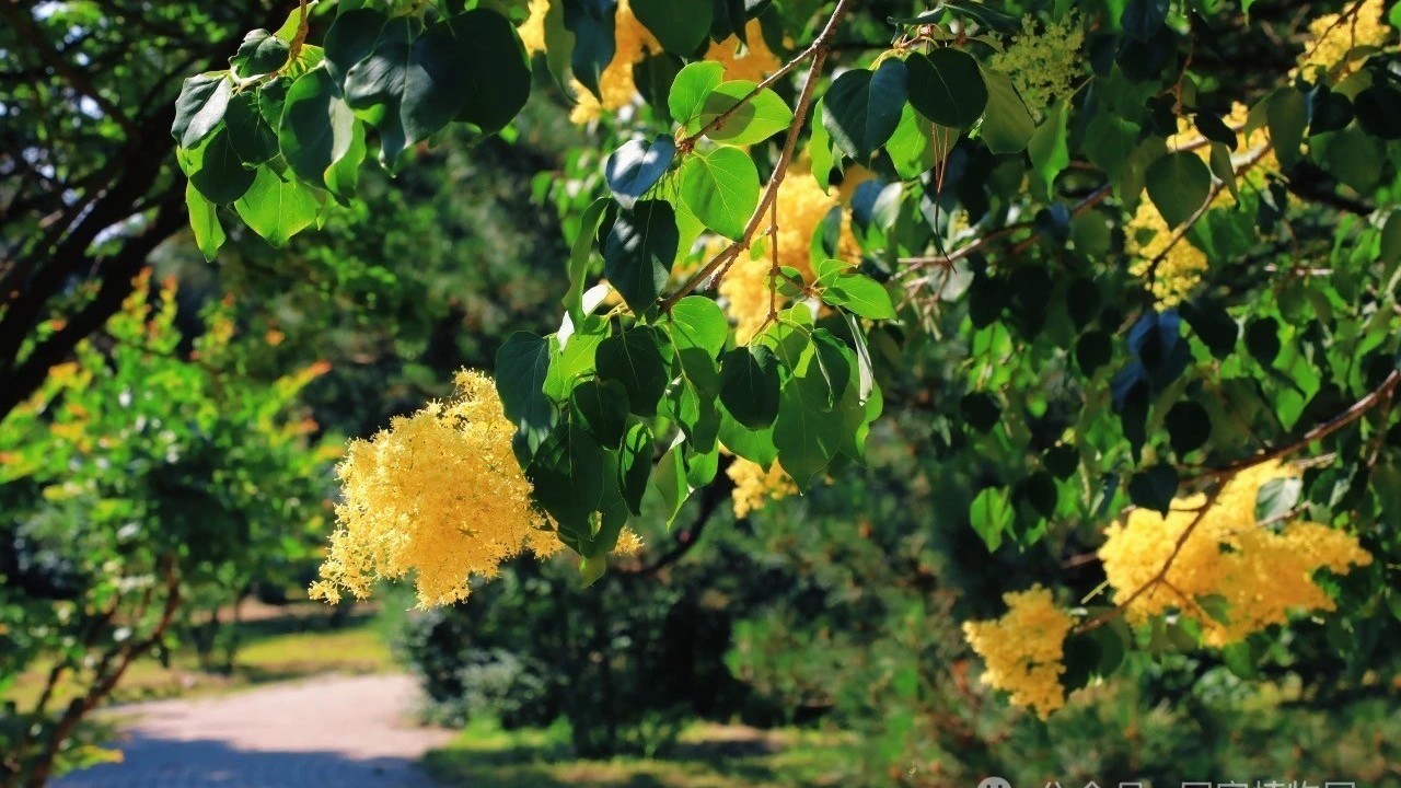 今天有雨!假期出游 ↓↓提前关注天气 今天有雨!假期出游 ↓↓提前关注天气