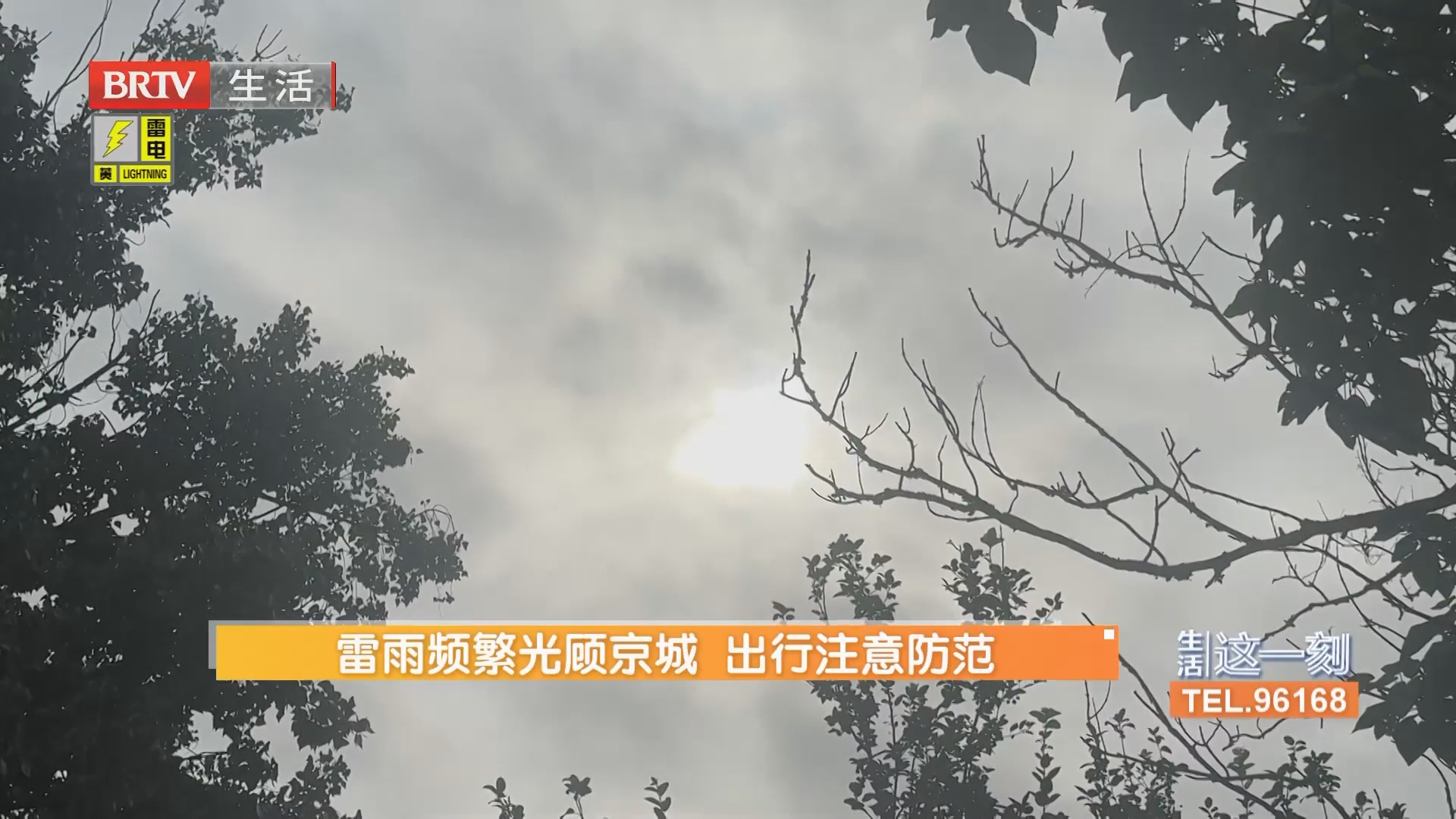 雷雨频繁光顾京城 出行注意防范 圆明园千亩荷塘进入最佳观赏期