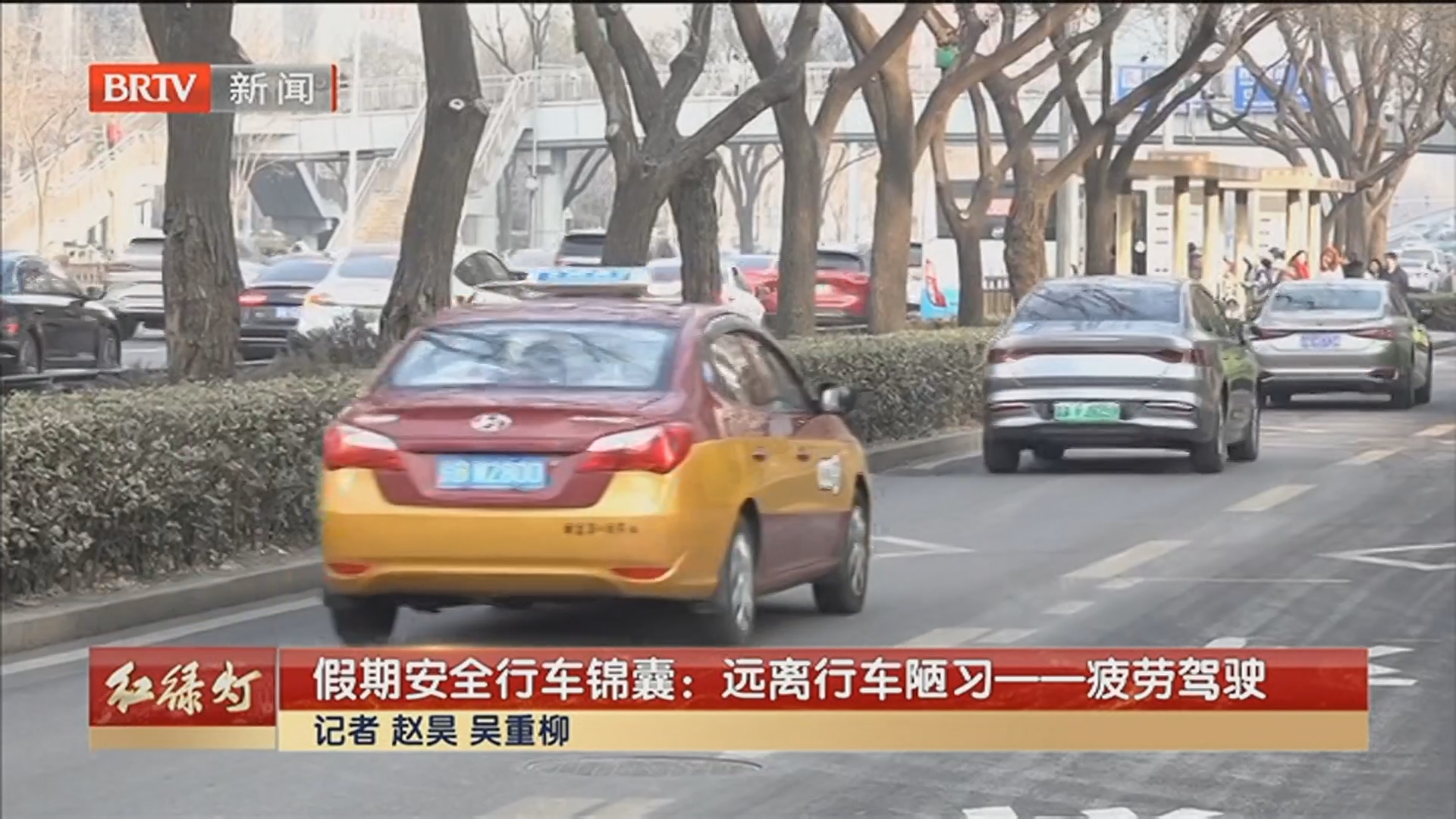 《红绿灯》20260219