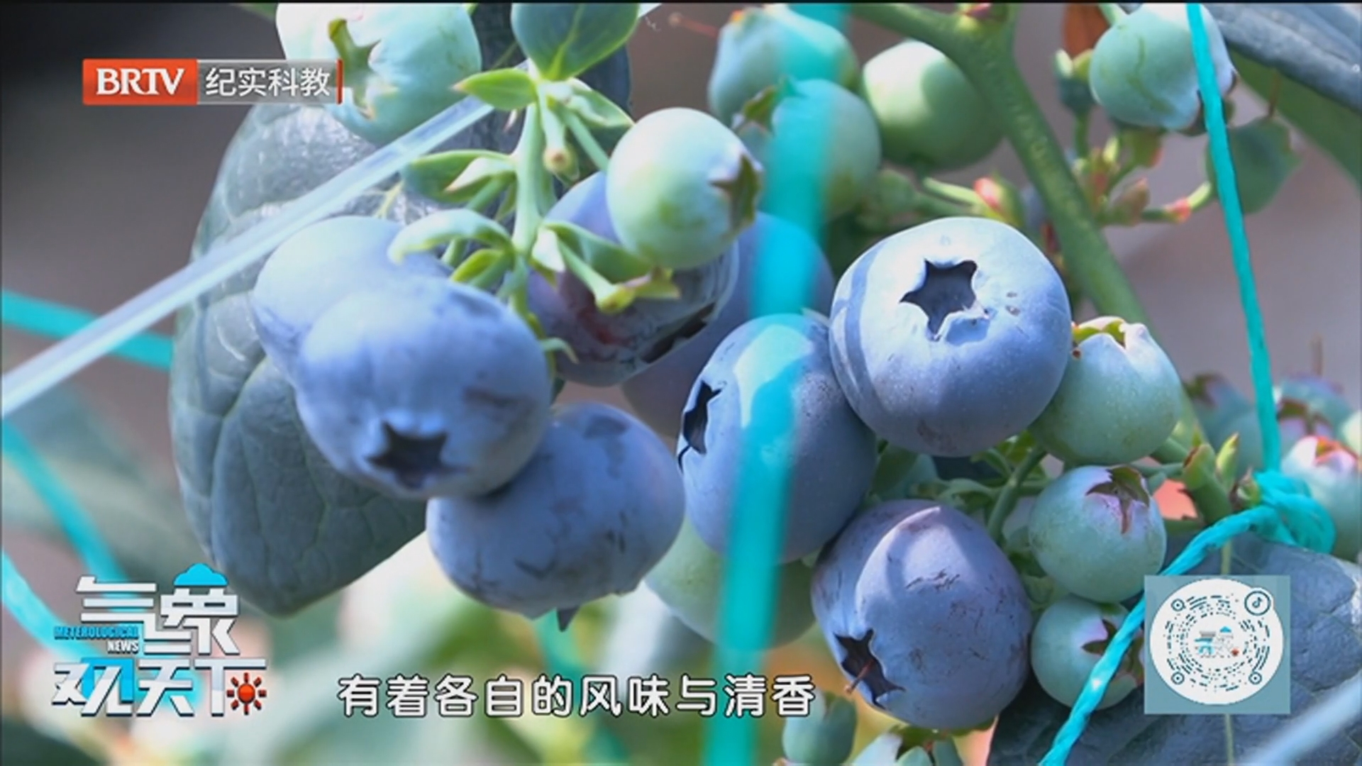 《气象观天下》20260428北方晴暖持续在线 南方又要下雨