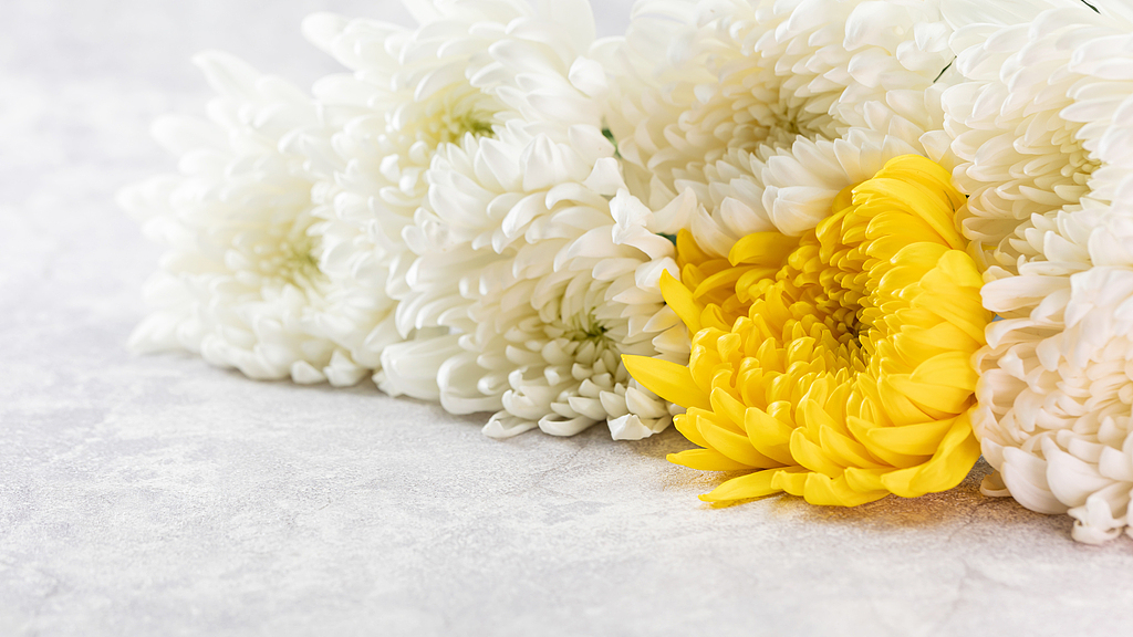 北京：公共祭扫场所严禁吸烟焚香烧纸，将劝导街边烧纸行为