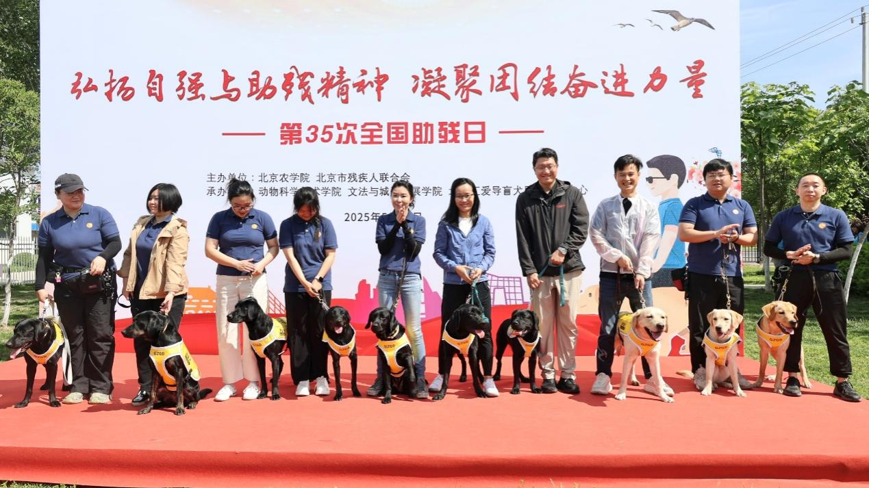它们开学啦！北京市导盲犬培训基地迎来9只导盲犬