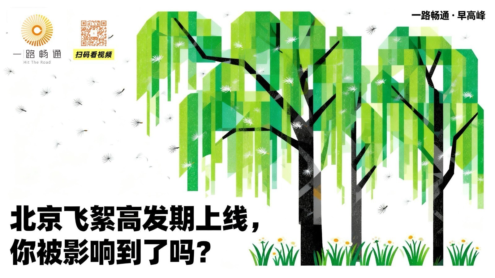 早间:北京飞絮高发期上线,你被影响到了吗? 早间:北京飞絮高发期上线,你被影响到了吗?