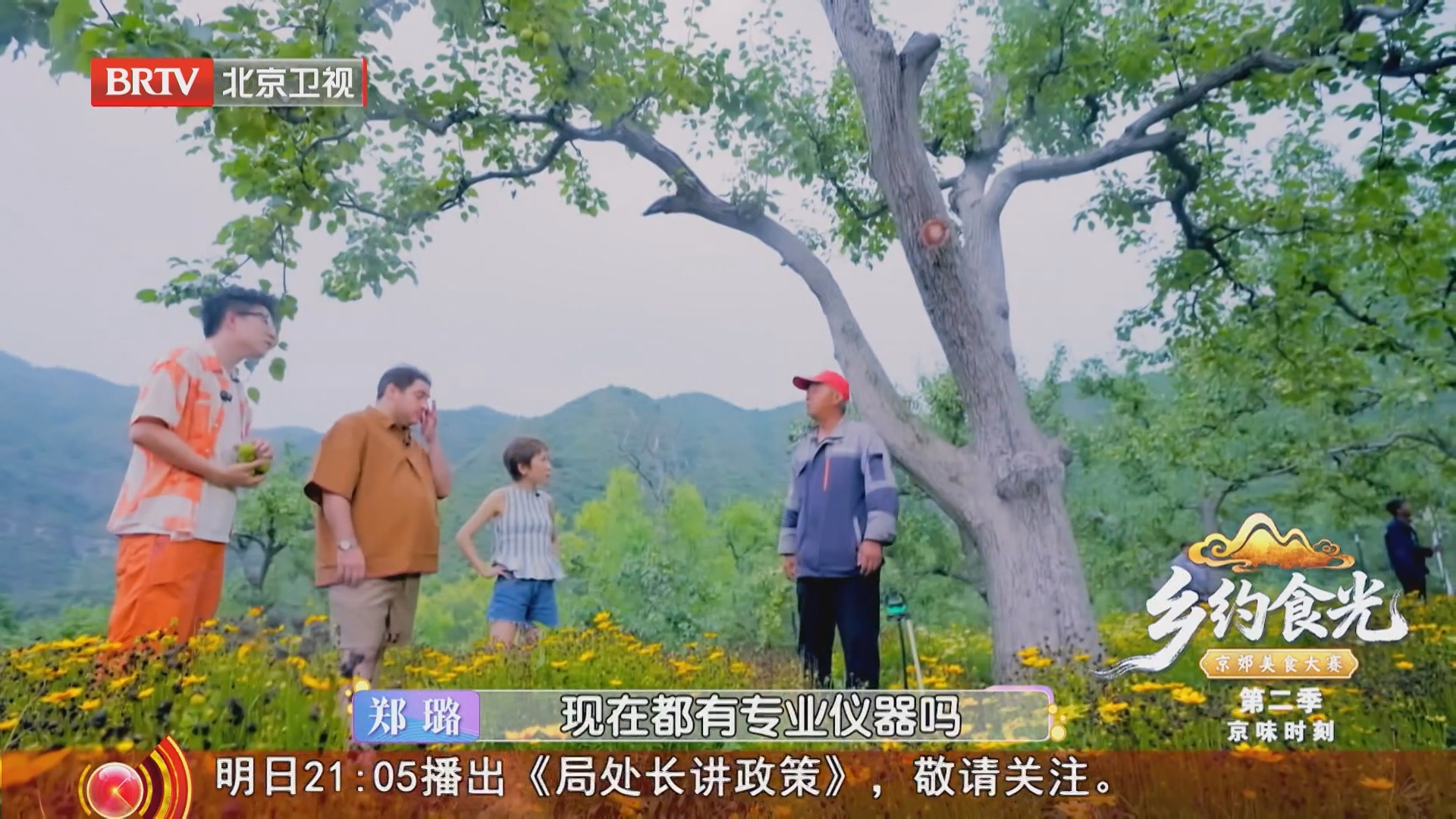 百年梨园藏绝技 大爷观树辨树龄