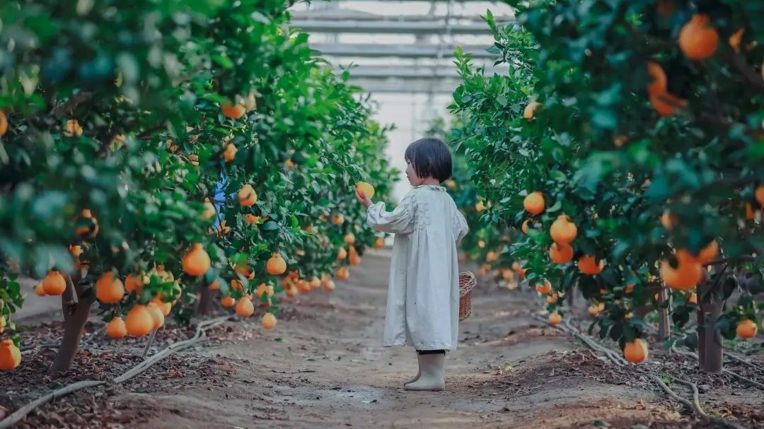 泡私汤+品美食……来昌平度周末，感受南北奇遇