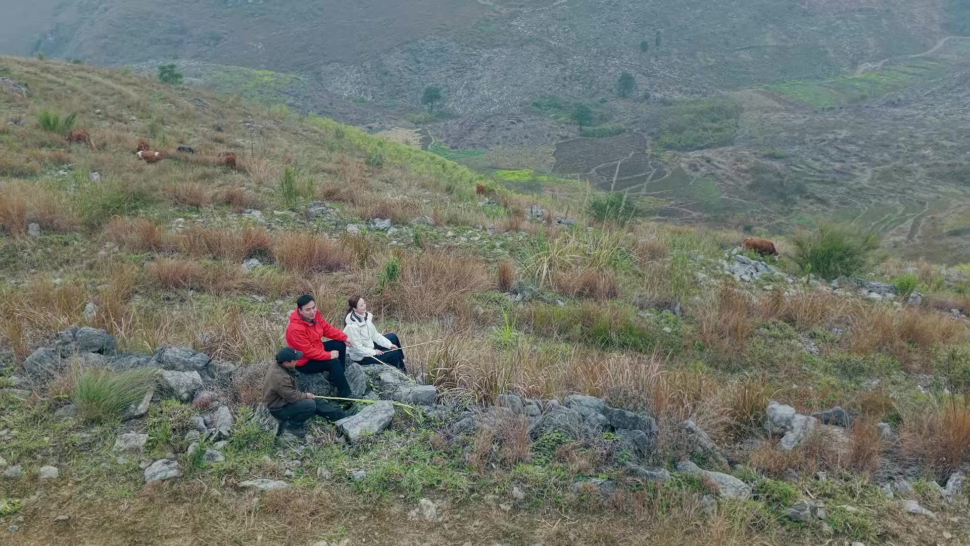 新春走基层丨“好生态好品种好市场,”新龙村幸福养牛三重奏 新春走基层丨“好生态好品种好市场,”新龙村幸福养牛三重奏