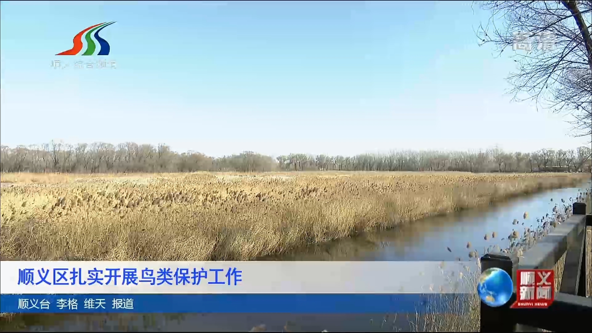 顺义区扎实开展鸟类保护工作