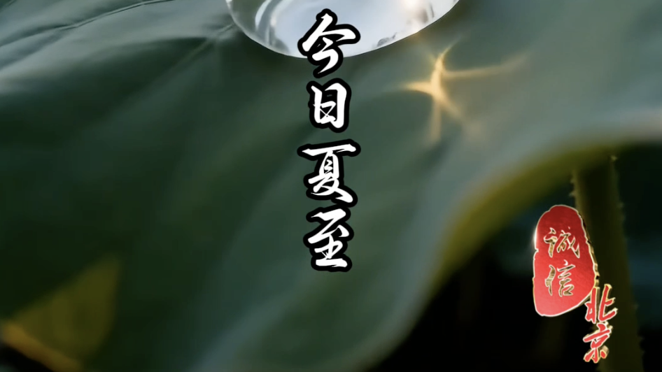 今日夏至，盛夏启幕｜诚至金石开，心静自然凉