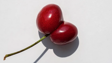 科普丨连体樱桃是打激素造成的,不能吃? 科普丨连体樱桃是打激素造成的,不能吃?