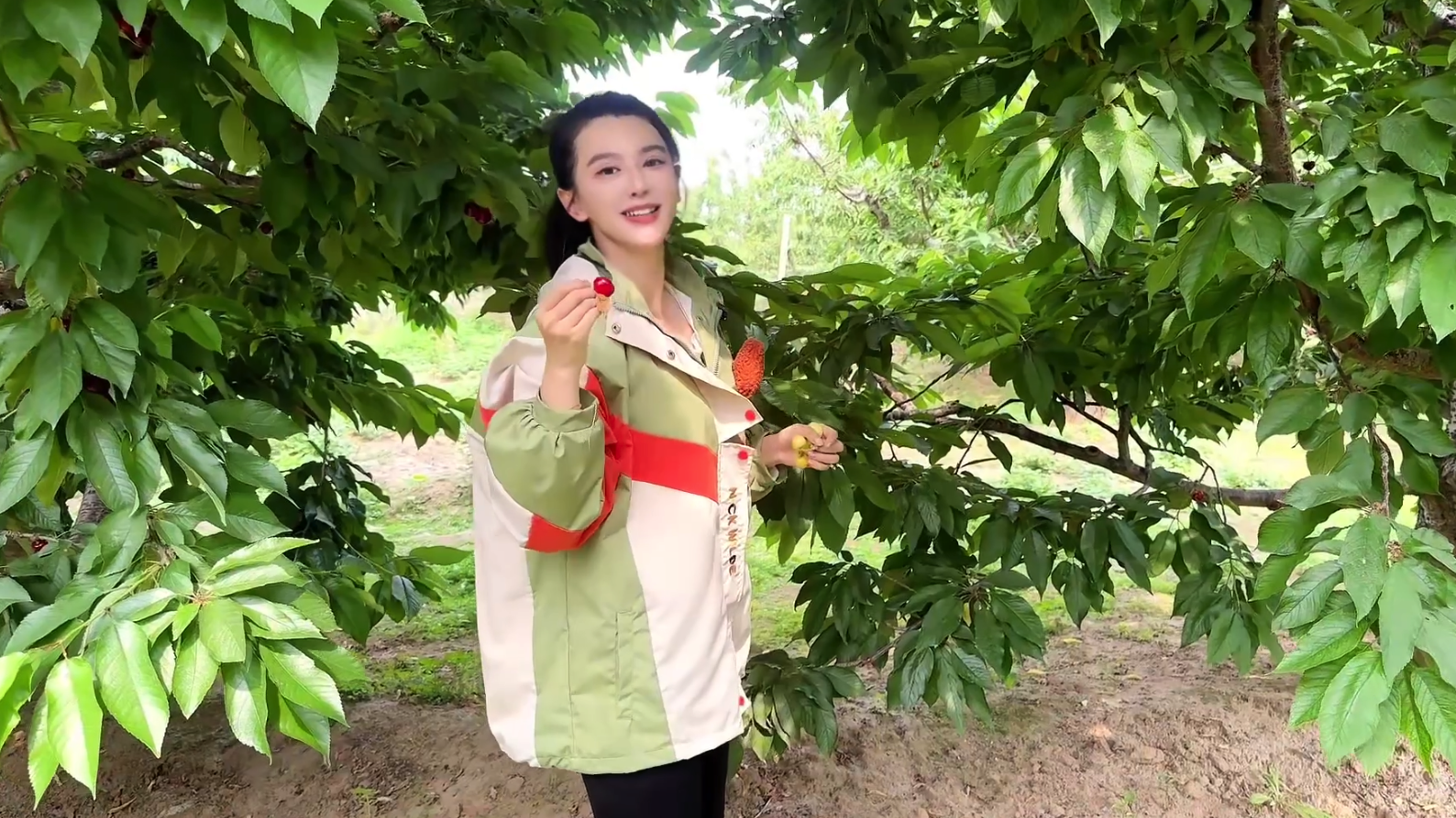 小长假必打卡宝藏地，樱桃随手摘，越吃越上头！