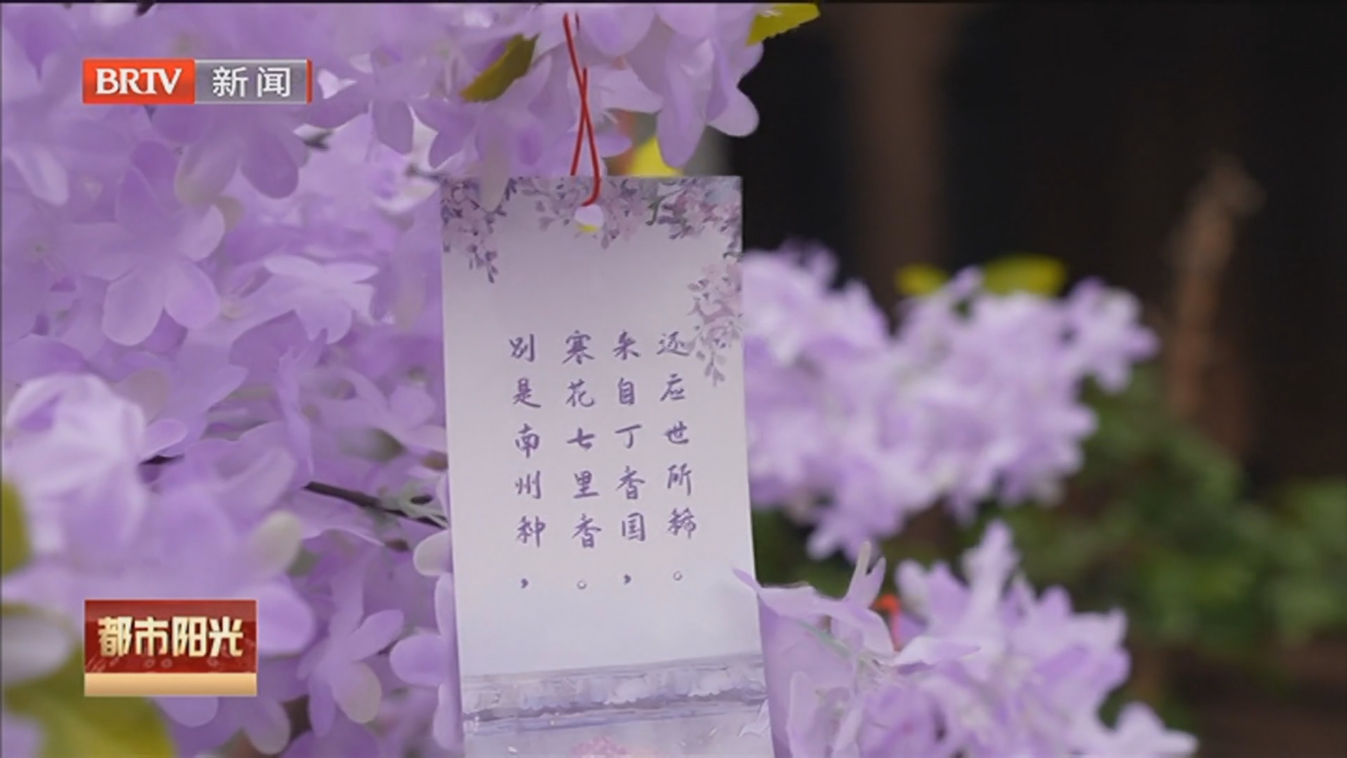 《都市阳光》20260412 《都市阳光》20260412