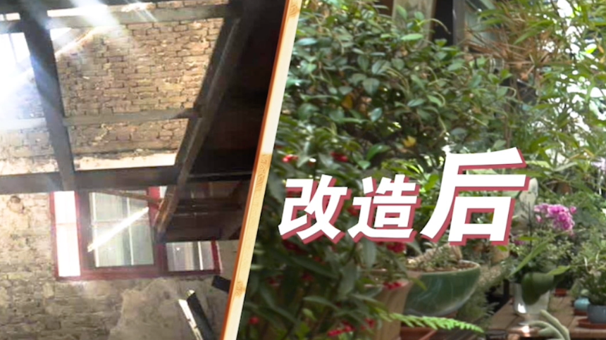 城市“造梦家”让北京胡同角落焕发生机
