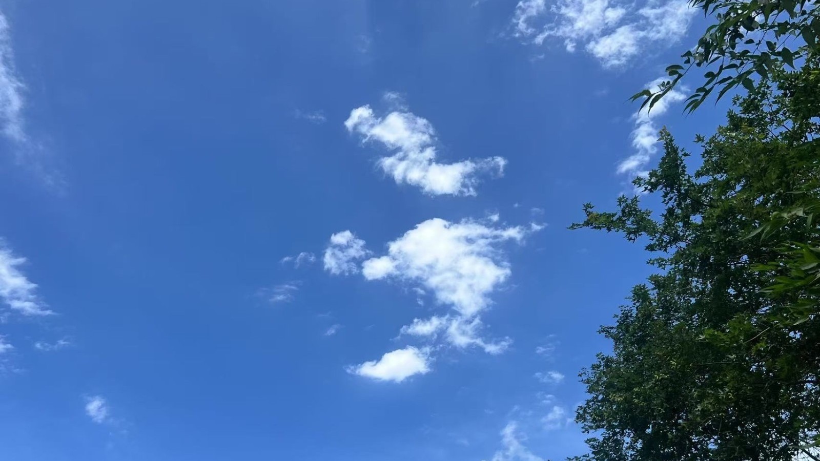 雨水暂歇 天气转晴 最高气温32℃ 紫外线强 注意防暑