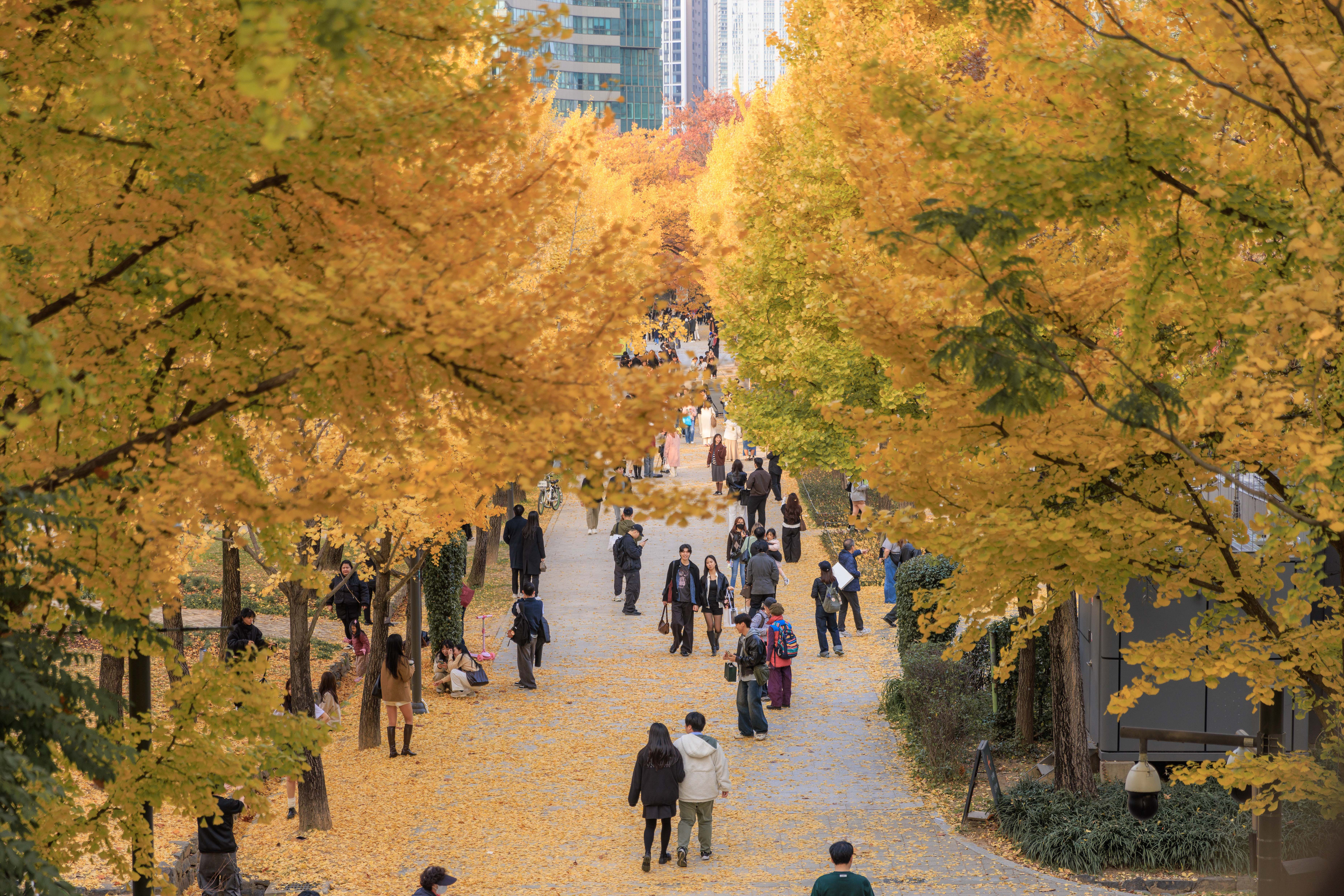 病例激增　韩国提前进入流感季高峰