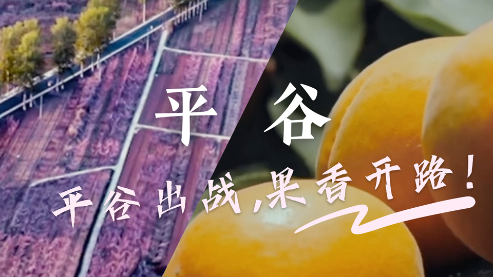 乡约食光|平谷桃乡出战! 乡约食光|平谷桃乡出战!