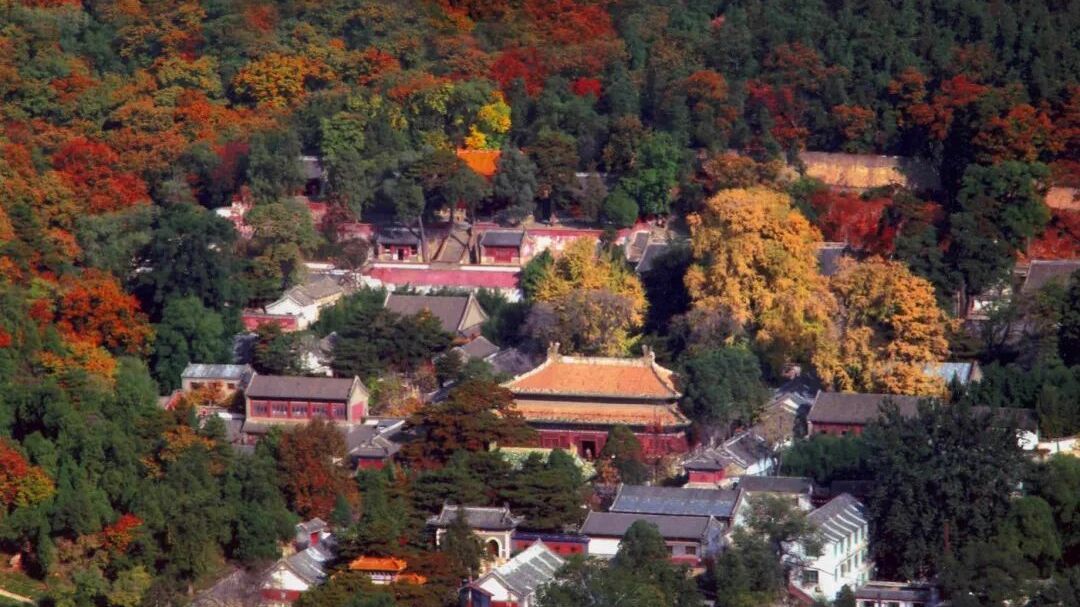 门头沟5家景区为中国泵道联赛参赛选手提供免门票游览权益