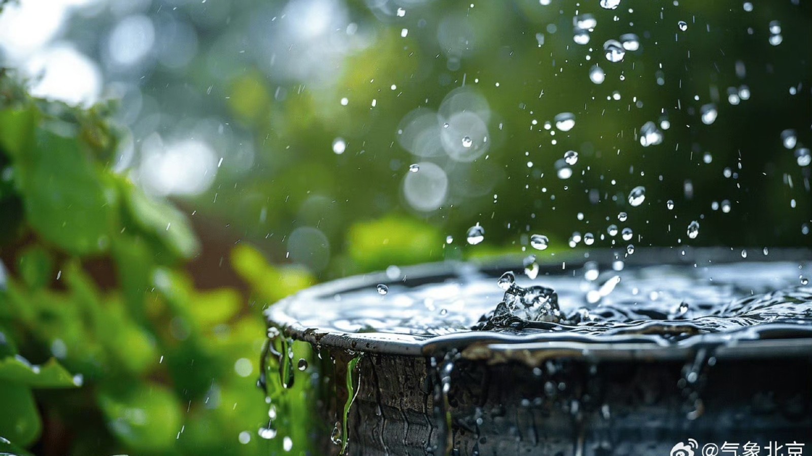 一直有雨 今天最高气温30℃ 防范湿热来袭 一直有雨 今天最高气温30℃ 防范湿热来袭