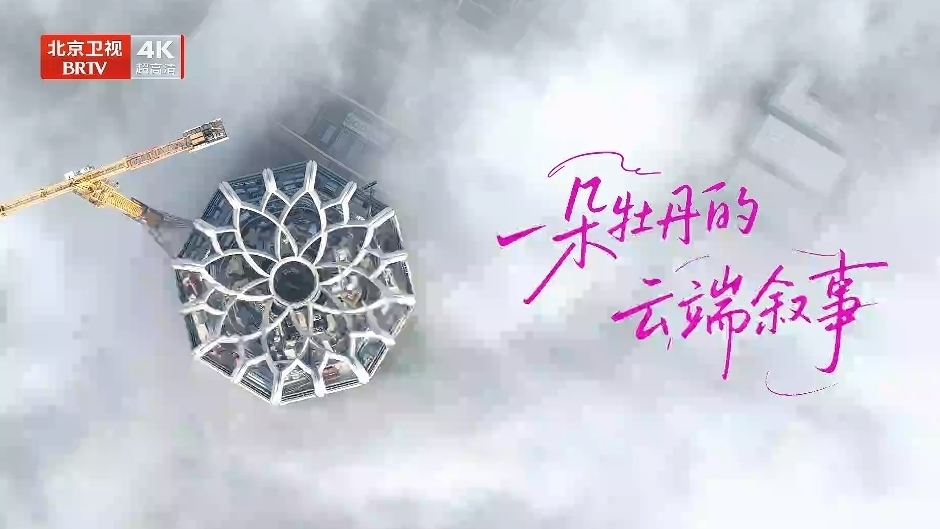 《我们的“十四五”故事》第18集《一朵牡丹的云端叙事》