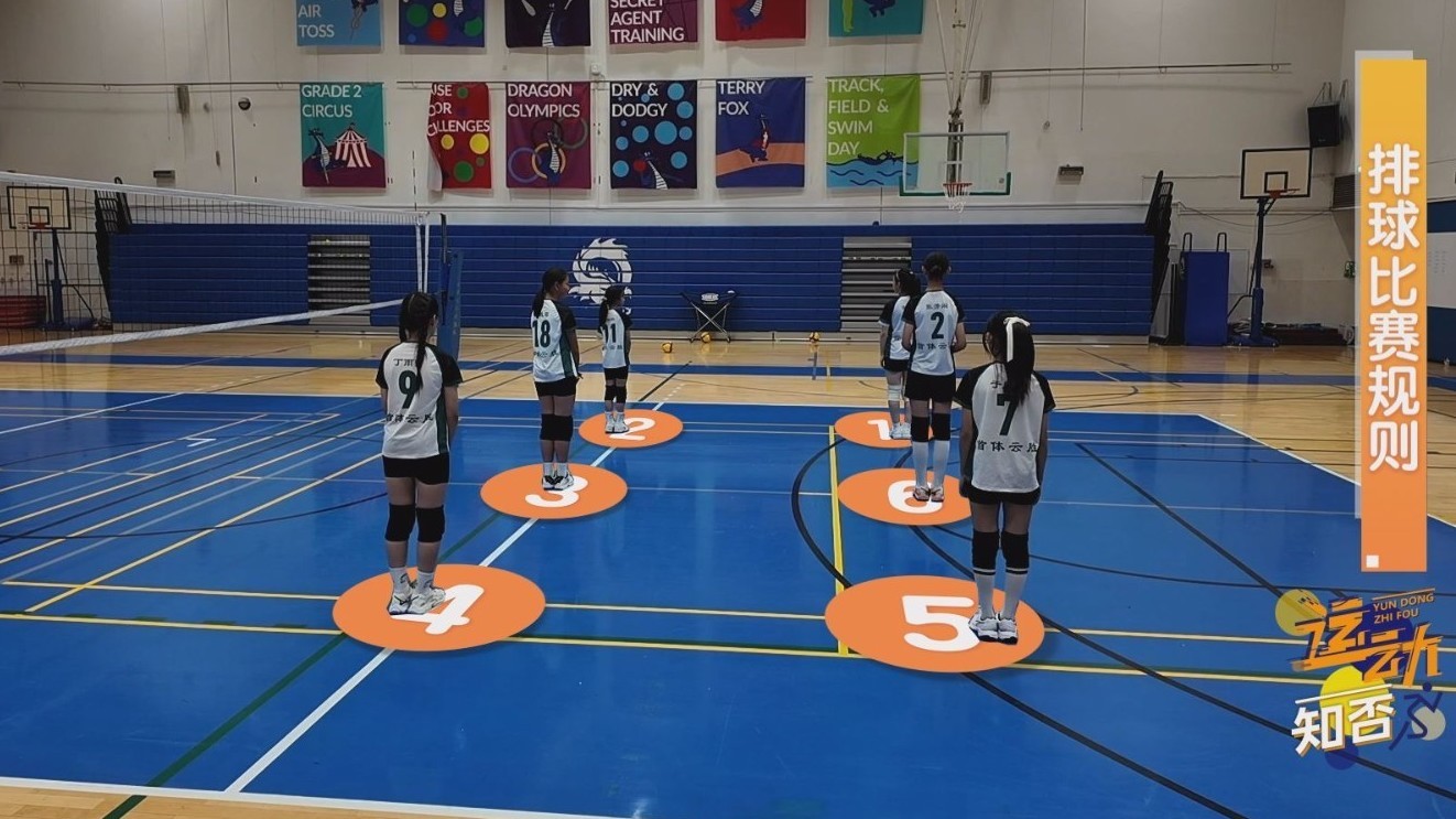 什么?排球还能用脚踢! 什么?排球还能用脚踢!