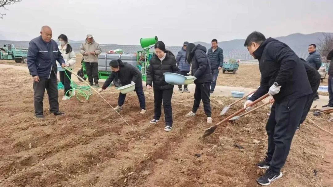 党建引领春耕工作 绘就乡村振兴新画卷 党建引领春耕工作 绘就乡村振兴新画卷