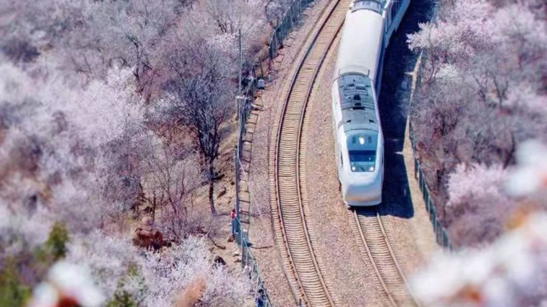 春临昌平,活力启程! 春临昌平,活力启程!