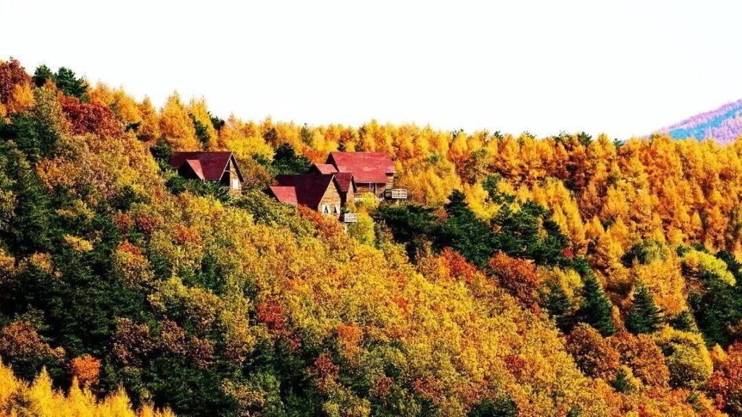 北京房山：来“北京西极”，追一场如画的秋