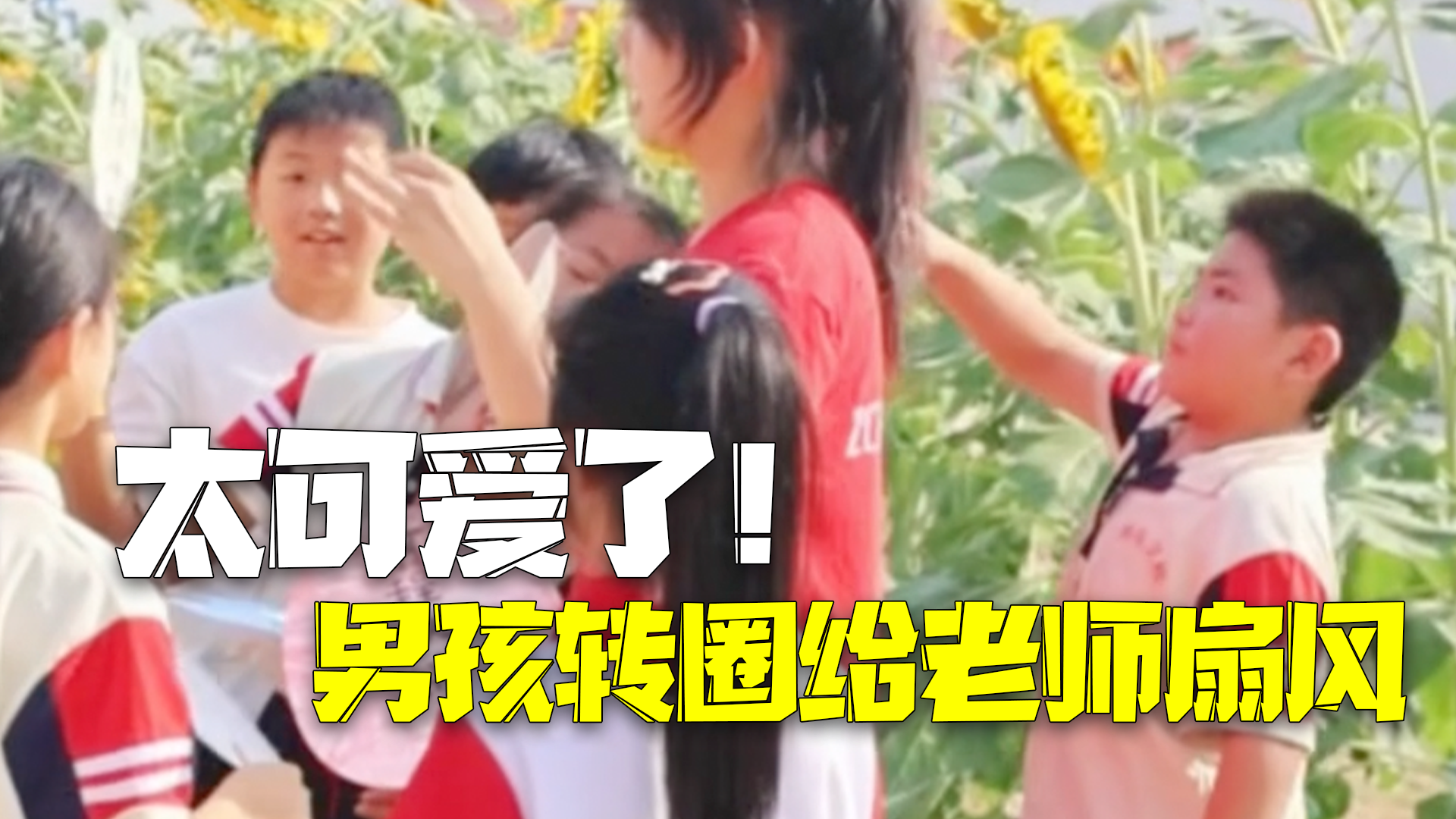 可爱得让人心疼!男孩围着老师转悠扇风 自己热得小脸红彤彤的 可爱得让人心疼!男孩围着老师转悠扇风 自己热得小脸红彤彤的