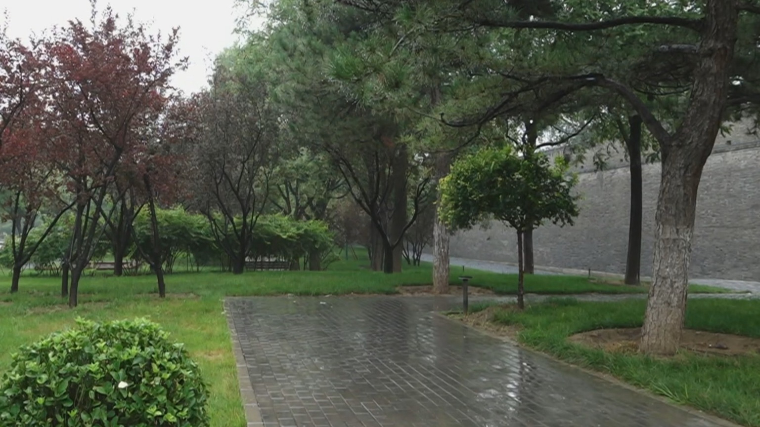 市气象台升级发布暴雨黄色预警