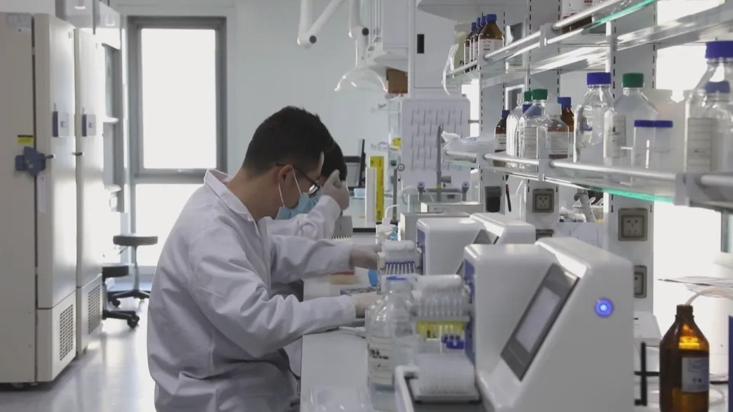 保定:握指成拳促协同 “房涿涞”融合展新颜 保定:握指成拳促协同 “房涿涞”融合展新颜