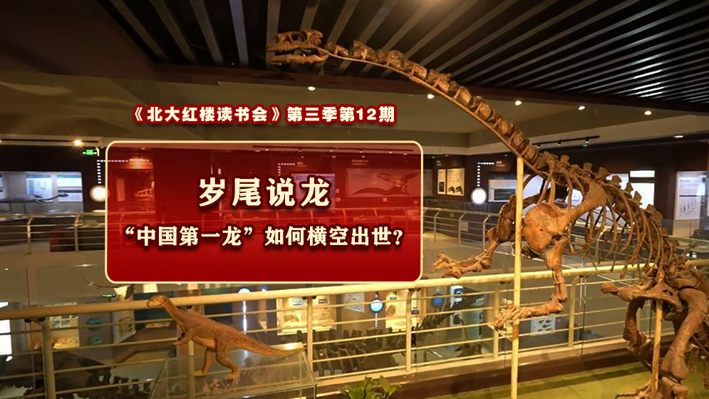 岁尾说龙:“中国第一龙”如何横空出世? 岁尾说龙:“中国第一龙”如何横空出世?