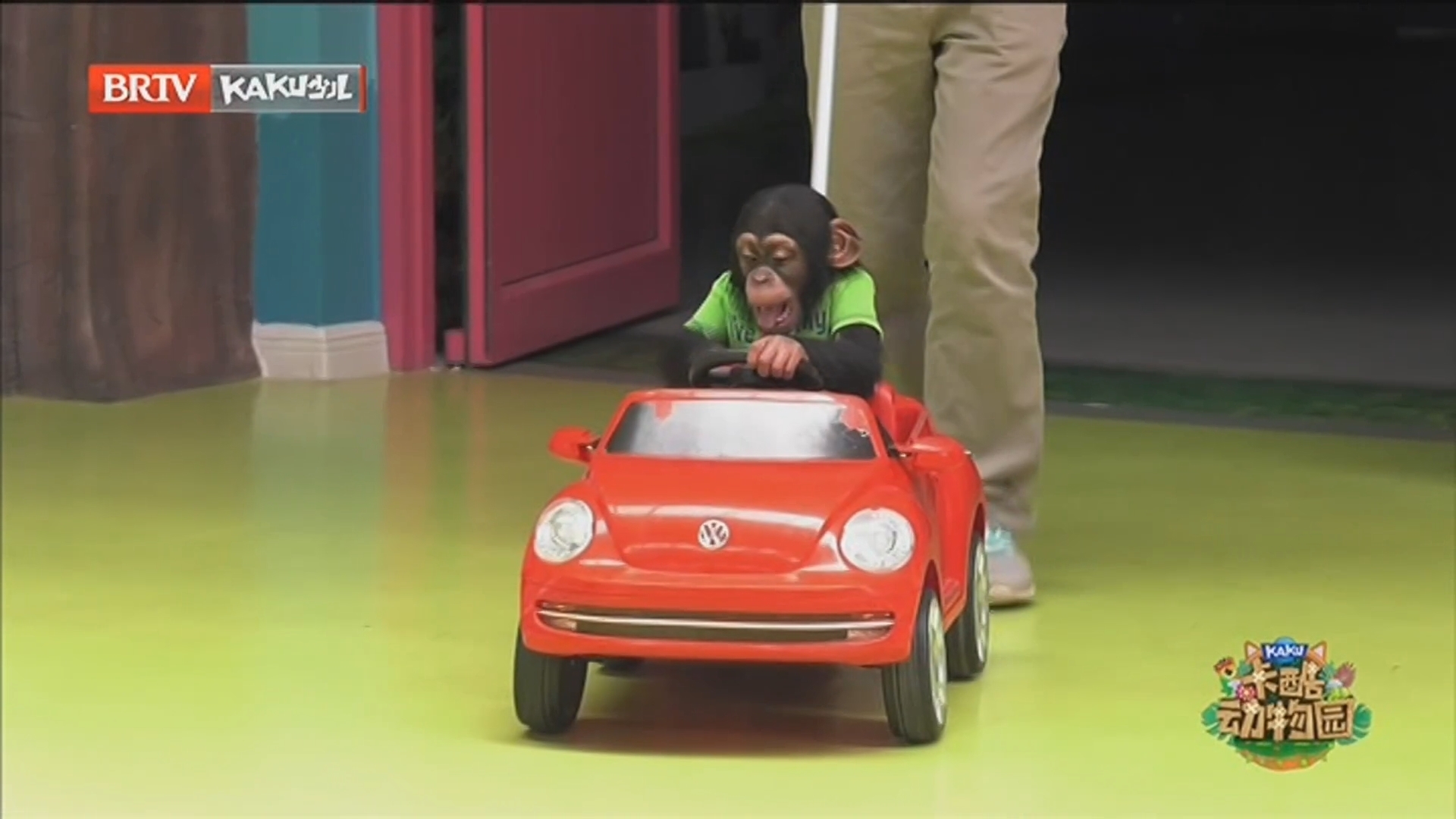 《卡酷动物园》20251208