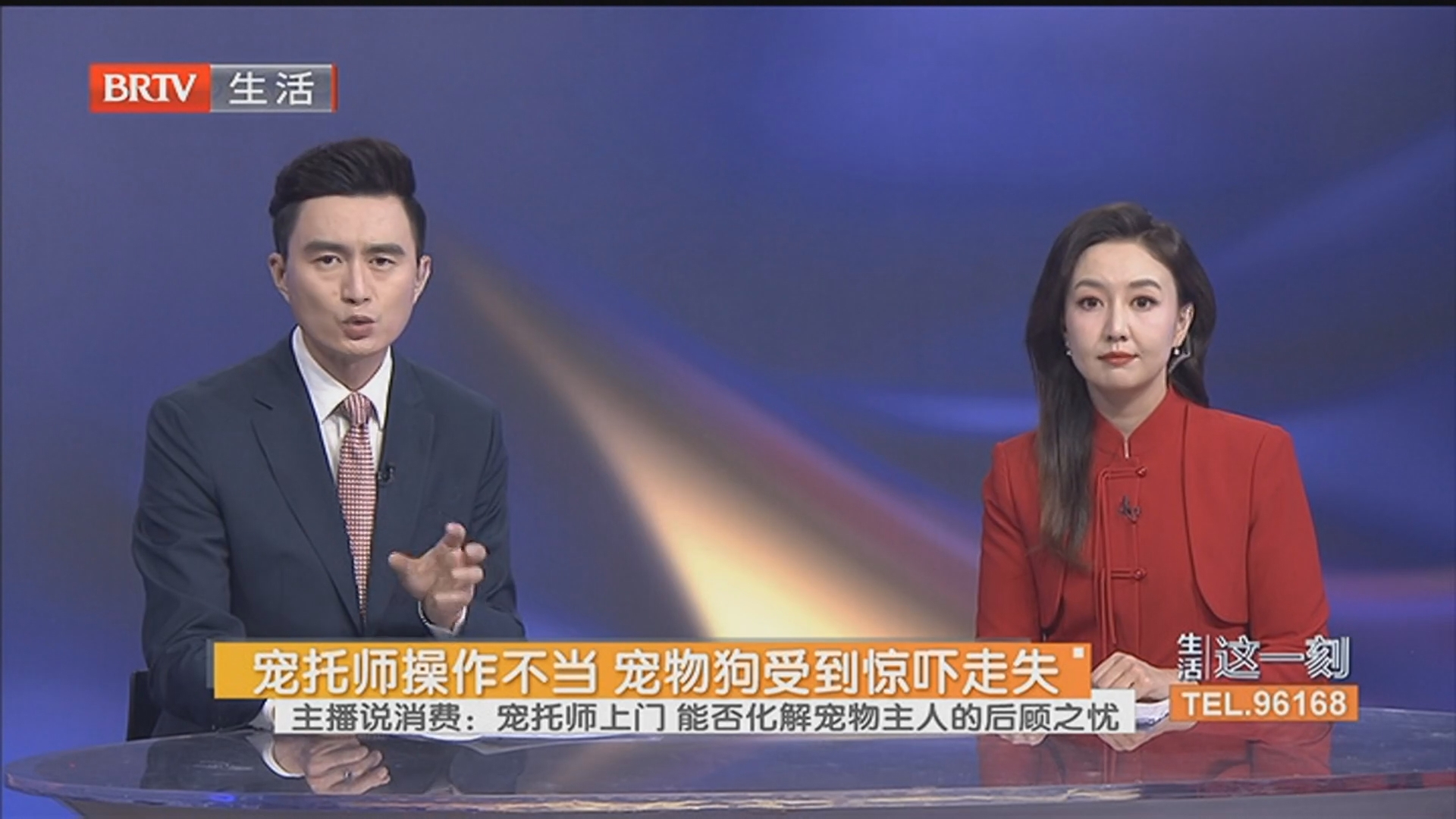 宠托师操作不当 宠物狗受到惊吓走失 主播说消费：宠托师上门 能否化解宠物主人的后顾之忧