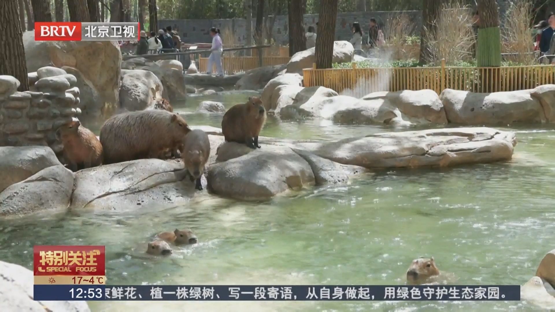 清明踏青 趣游北京野生动物园