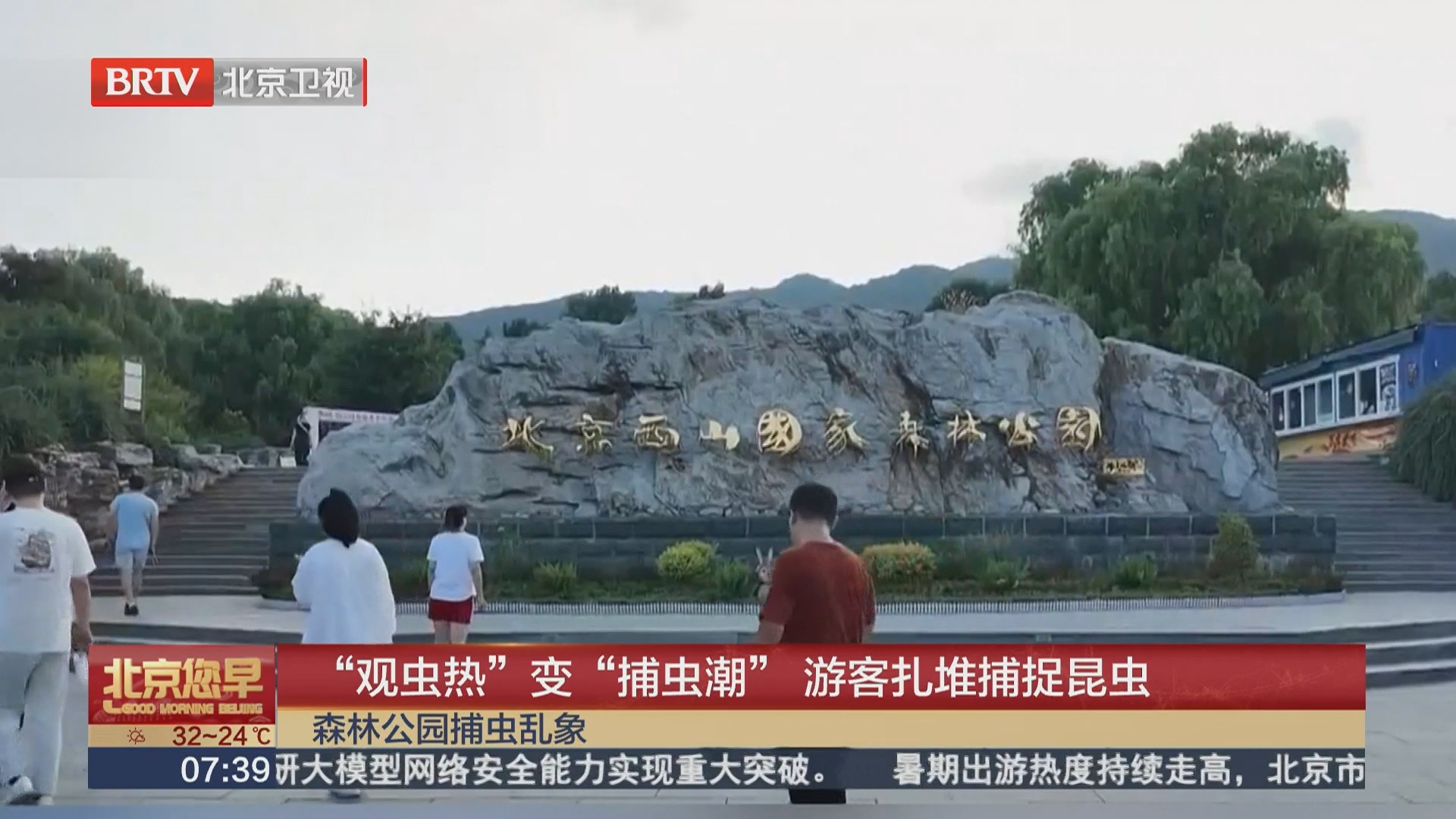 “观虫热”变“捕虫潮” 游客扎堆捕捉昆虫 “观虫热”变“捕虫潮” 游客扎堆捕捉昆虫