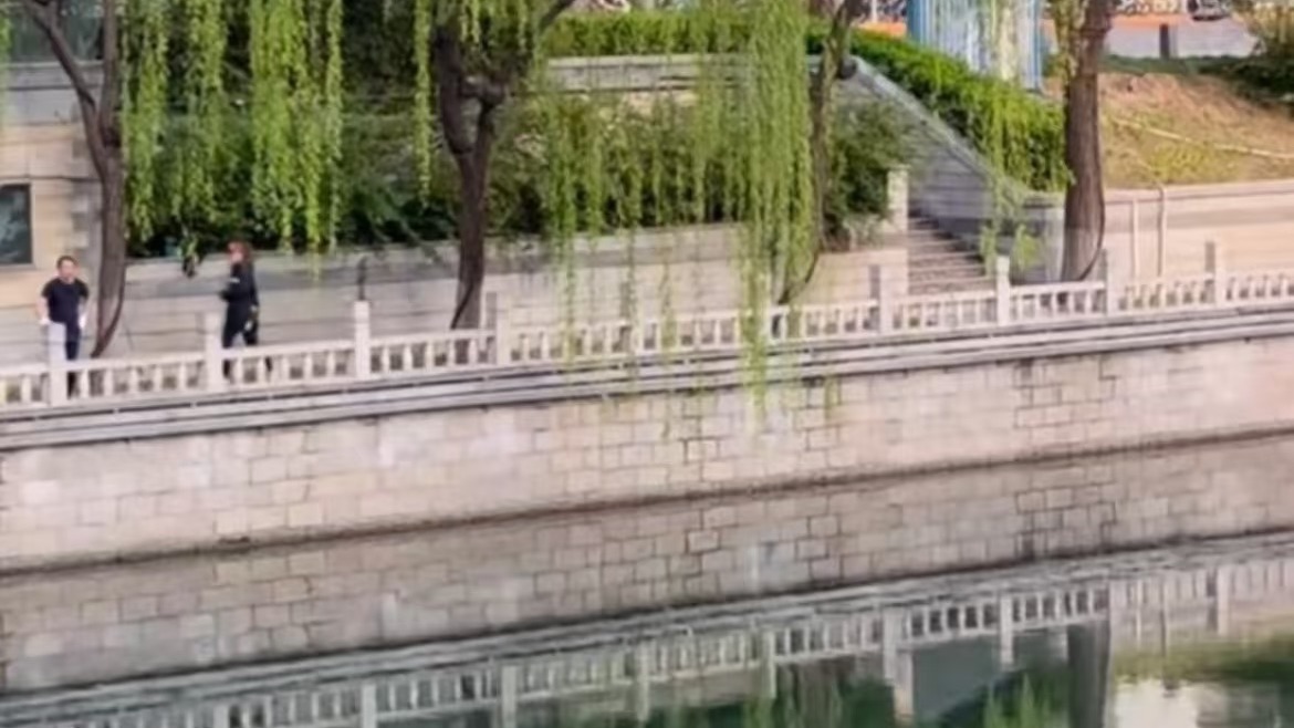 大爷隔河扔飞盘玩出新花样