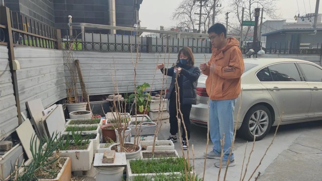 “边角料”如何变成“上好料”？这个社区有办法——